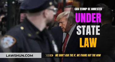 Trump's Legal Woes: State Arrest Possible?