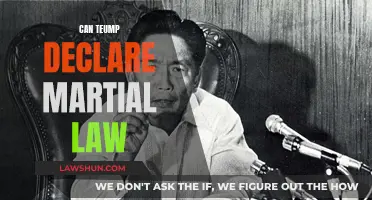 Martial Law: Can Trump Pull a Fast One?