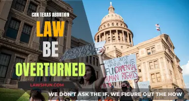 Texas Abortion Law: Can It Be Overturned?