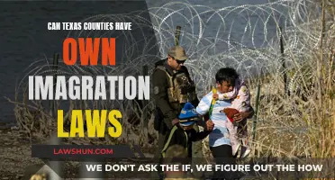 Immigration Laws: Can Texas Counties Go Their Own Way?