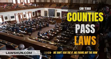 How Texas Counties Govern Themselves: Passing Laws