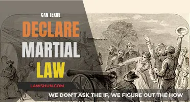 Martial Law in Texas: Is It Possible?