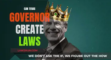 Texas Governor's Law-Making Powers Explained