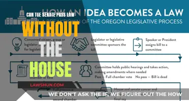 Senate Passing Laws: House's Role Explained