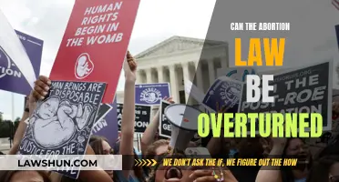 The Abortion Law: Can It Be Overturned?