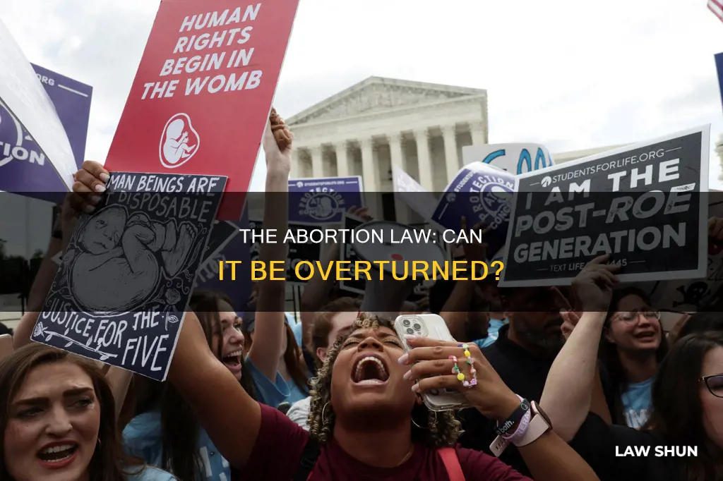 can the abortion law be overturned