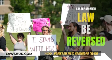 The Abortion Law: Can It Be Overturned?