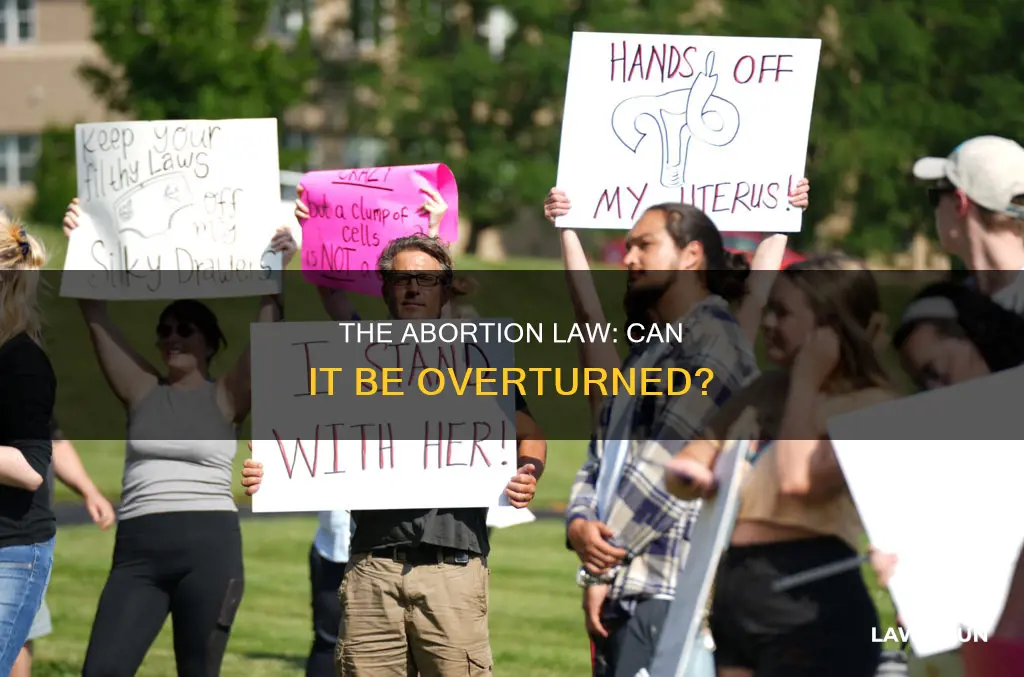 can the abortion law be reversed