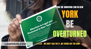 The Battle Over Abortion Rights in New York