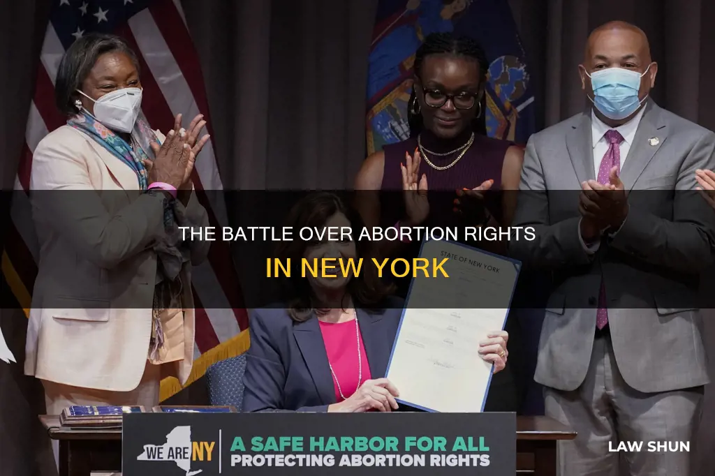 can the abortion law in new york be overturned