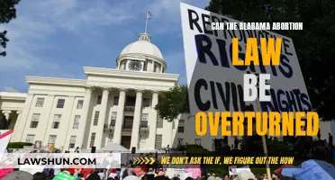 Alabama Abortion Law: Can It Be Overturned?