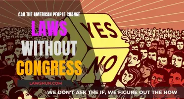 Americans' Power to Change Laws Without Congress