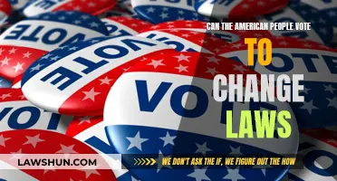 Voting Power: Can Americans Change Laws Directly?