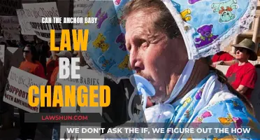Anchor Baby Law: Can It Be Changed?