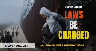 The Evolution of Asylum Laws: Change and Challenges