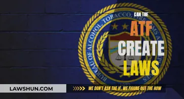 The ATF's Lawmaking Powers: Explained