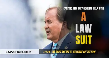 Attorney General: Help or Hindrance in Lawsuits?