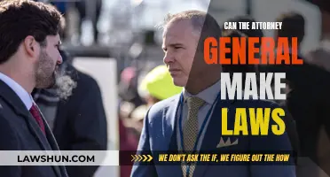 Attorney General's Law-Making Powers: Explained