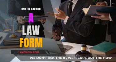 Running a Law Firm: Can a Bar Owner Do It?