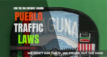 BIA's Power Over Laguna Pueblo: Traffic Laws Enforced?