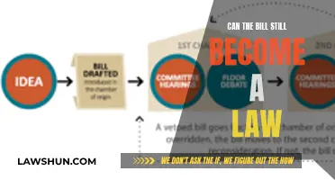 How a Bill Becomes Law: The Process Explained