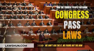 The NPC's Law-Making Powers Explained