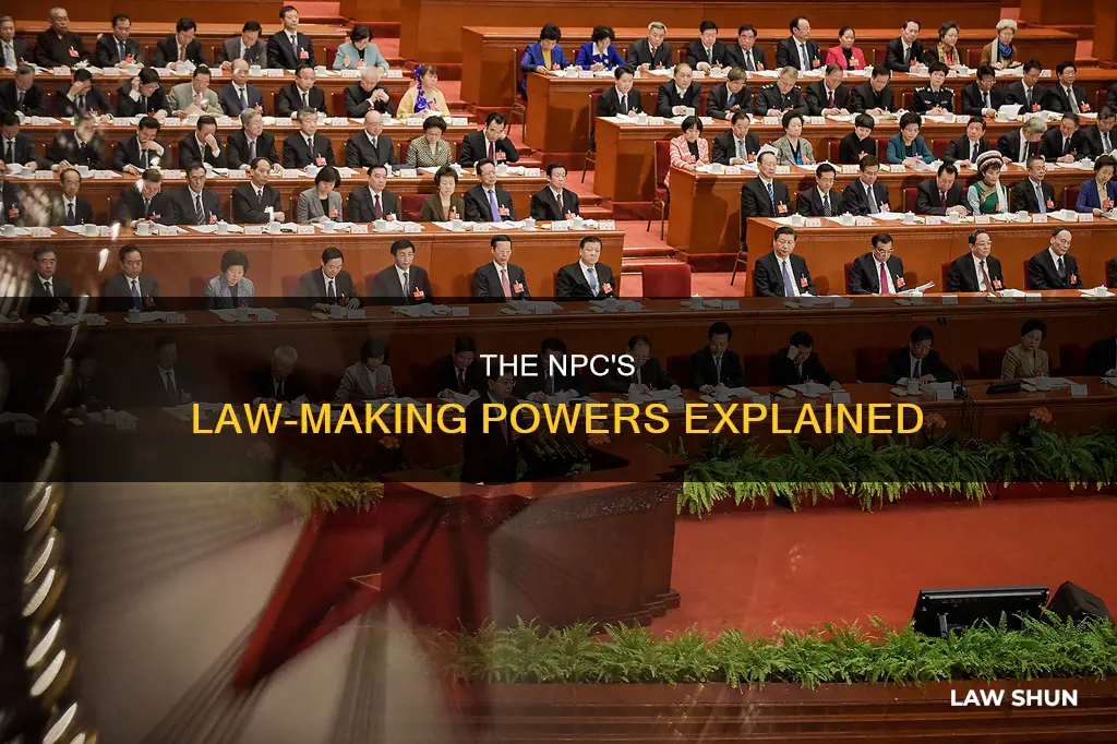 can the chinese people national congress pass laws
