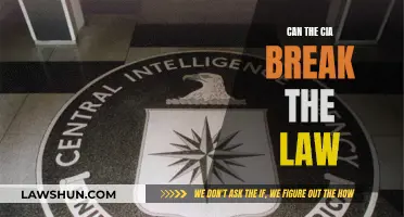 The CIA's Legal Boundaries: Can They Be Broken?