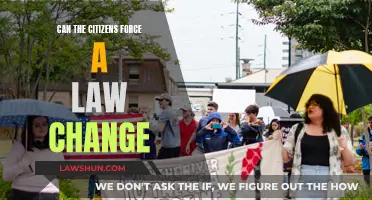 How Citizens Can Effectively Demand Law Changes