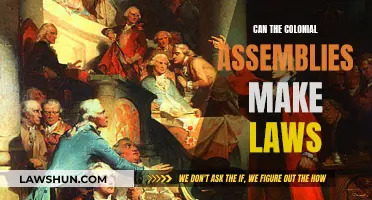 Colonial Assemblies: Lawmakers or Figureheads?