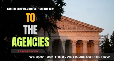 The Power of Congress: Delegating Creative Law