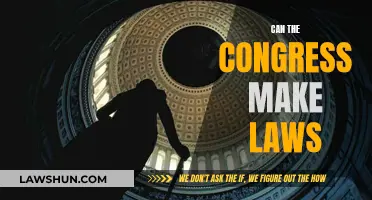 The Legislative Power of Congress: Lawmaking Explored