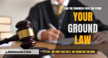 The Stand Your Ground Law: Will Congress Pass It?