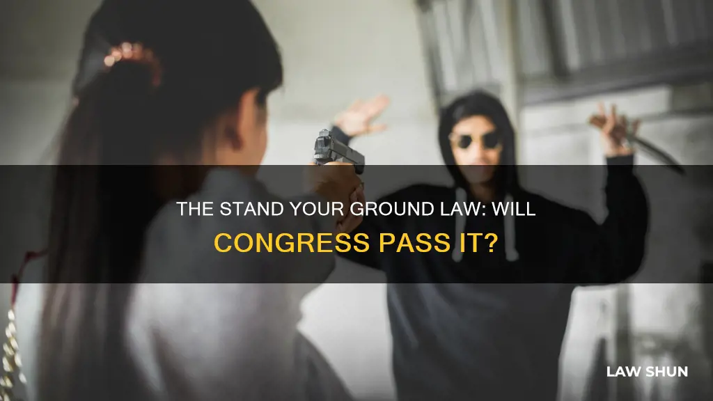 can the congress pass the stand your ground law