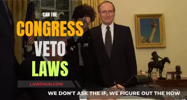 The Veto Power Play: Congress' Legal Authority