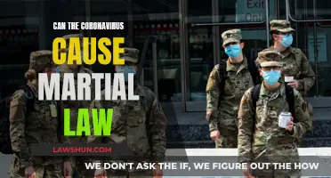 Martial Law: Coronavirus and Government Control