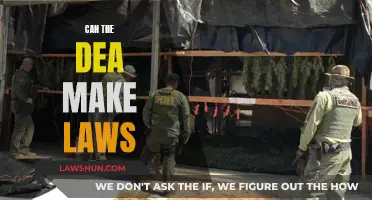 DEA's Lawmaking Power: Explained