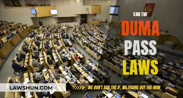 Understanding Duma's Law-Making Powers in Russia
