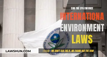 EPA's Global Reach: Enforcing International Environmental Laws?