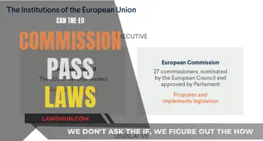 The EU Commission: Lawmakers or Facilitators?