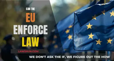 EU Law Enforcement: Power and Limitations