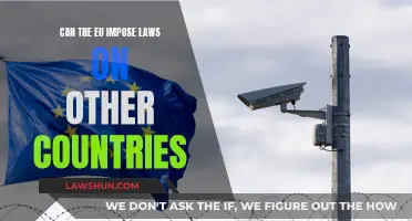 EU's Global Reach: Imposing Laws on Other Nations?