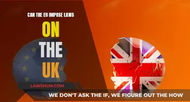 EU Imposed Laws: UK's Future?