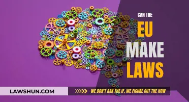 The EU's Legislative Power: Understanding its Law-Making Ability