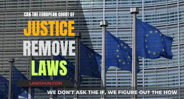 European Court of Justice: Power to Revoke Laws?