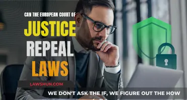 Examining the Powers of the European Court of Justice