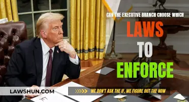 Executive Branch: Law Enforcer or Chooser?
