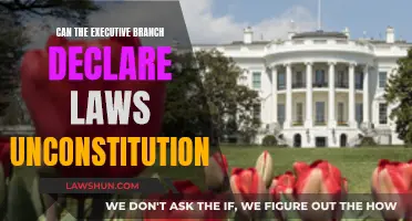 Executive Branch: Can They Declare Laws Unconstitutional?