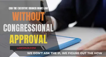 Executive Lawmaking: Without Congressional Approval?