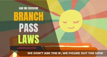 Executive Powers: Law-making and Limitations